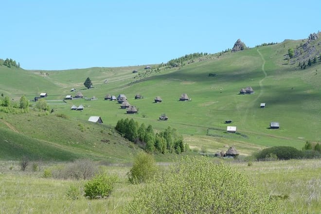 Wildflowers of Romania Day Hike from Cluj 7