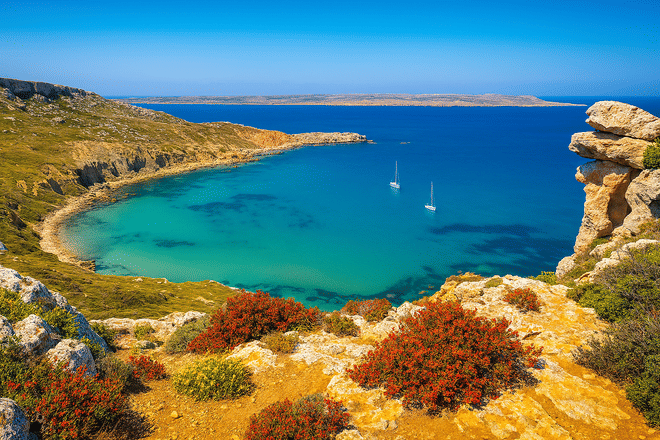 Around Malta Discovery Cruise with 3 Swim Stops and Buffet Lunch photo 6