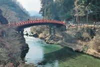 Nikko Private Tour Return by Bullet Train 10