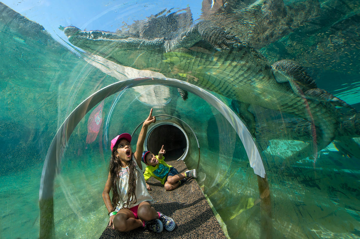 Go Miami Explorer Pass 8