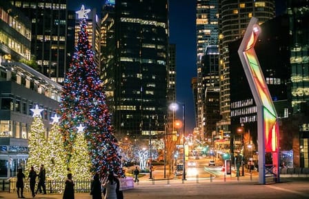 Private Vancouver Christmas Light Tour with Transfers
