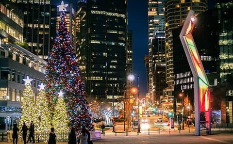 Private Vancouver Christmas Light Tour with Transfers