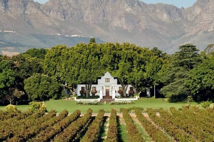  Big5 Wildlife Game Reserve Safari with wine tasting Transport 10
