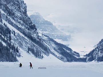 Lake Louise, Emerald Lake and Peyto Lake Tour from Banff