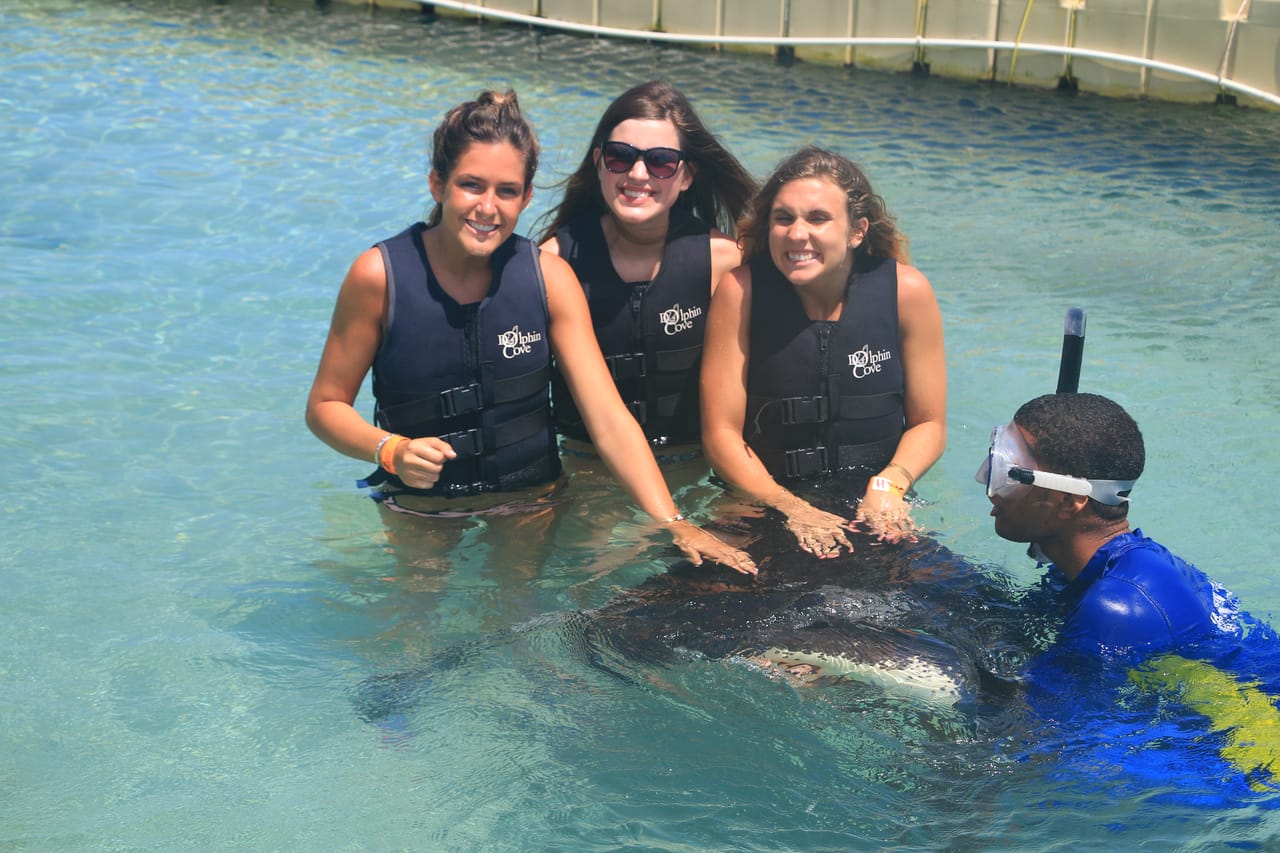 Dolphin Swim Adventure in Dolphin Cove Ocho Rios  6
