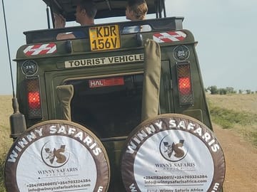 4 Days Masai Mara and Lake Nakuru Group Safari From Nairobi