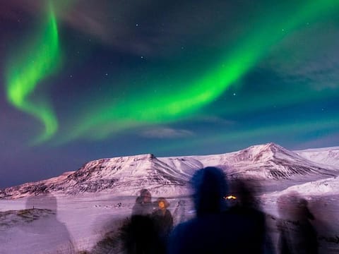 VIATOR Northern Lights Private Tour from Reykjavik, photo 4