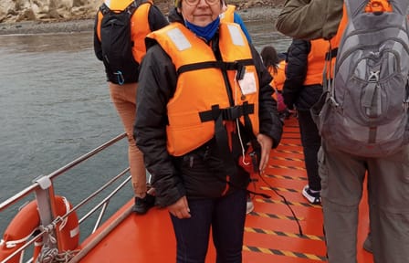 Half-Day Tour to Magdalena Island Penguin Colony from Punta Arenas