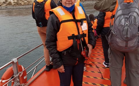 Half-Day Tour to Magdalena Island Penguin Colony from Punta Arenas