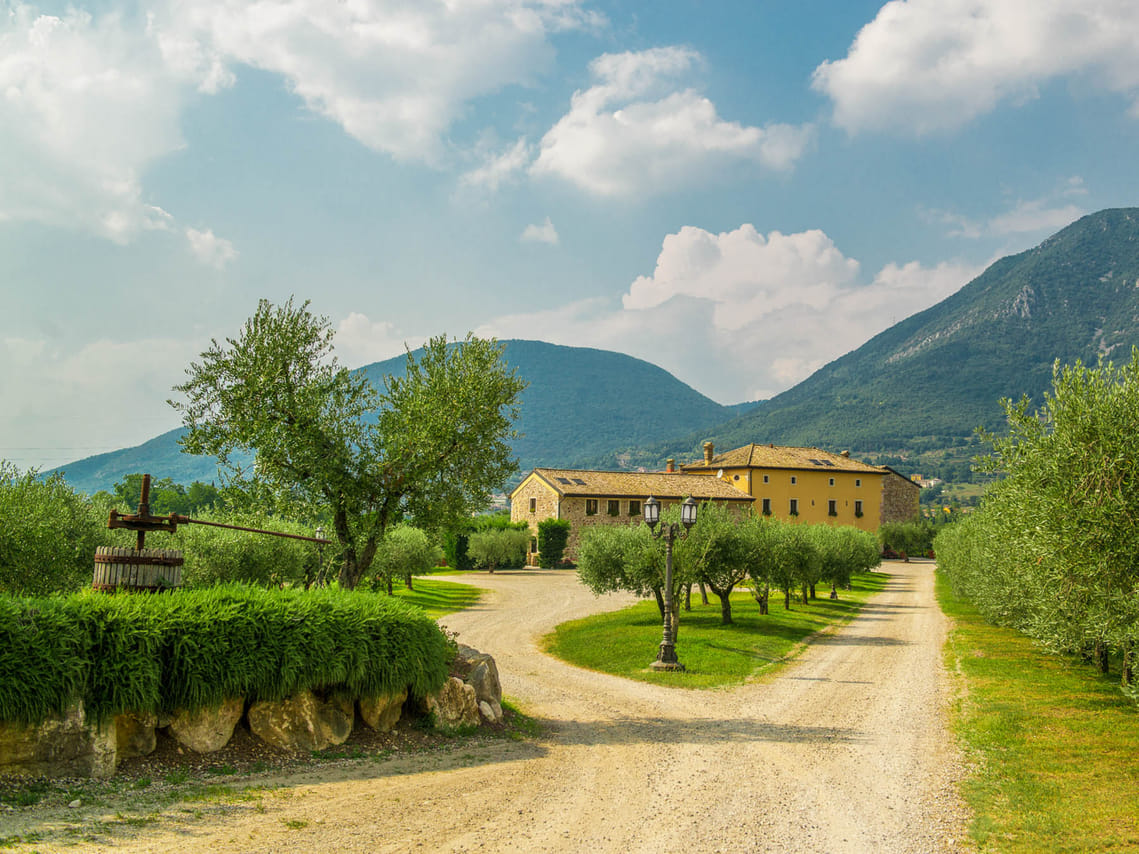 Wine Tour and Tasting on Garda Hills 3