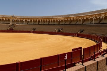 Seville Highlights Tour: Explore Cathedral, Alcazar, Plaza de España