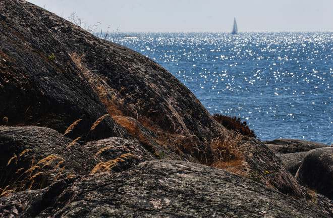 Cliffs and wild nature