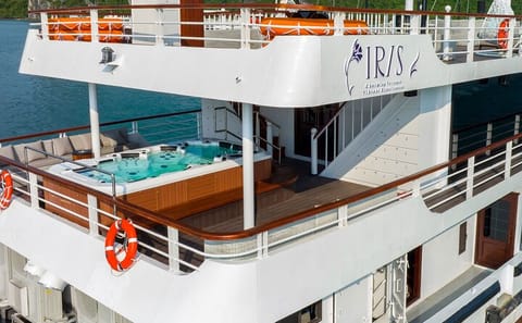 Luxury Day Tour of Halong Bay with Iris Cruise Experience