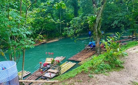 Horseback Riding, Bamboo Rafting, and Limestone Massage in Montego Bay