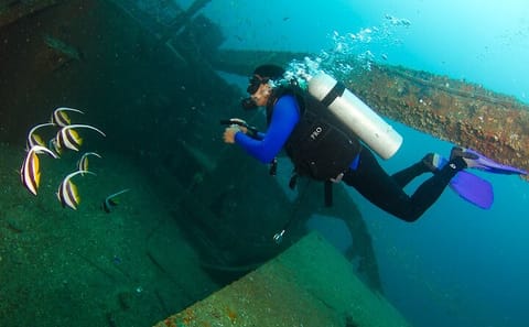 Scuba Diving Adventure in Colombo's Vibrant Waters