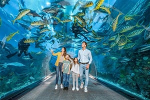Dubai Aquarium and Underwater Zoo Tickets
