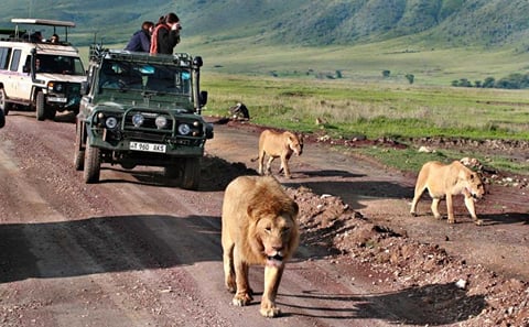 4-Day Camping Safari in Tanzania's Northern Circuit
