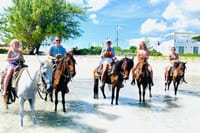 Caicos Islands Beach Horseback Riding Small-Group Tour 2