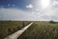 Muyil Archaeological Site & Sian Ka'an Guided Tour from Tulum 6