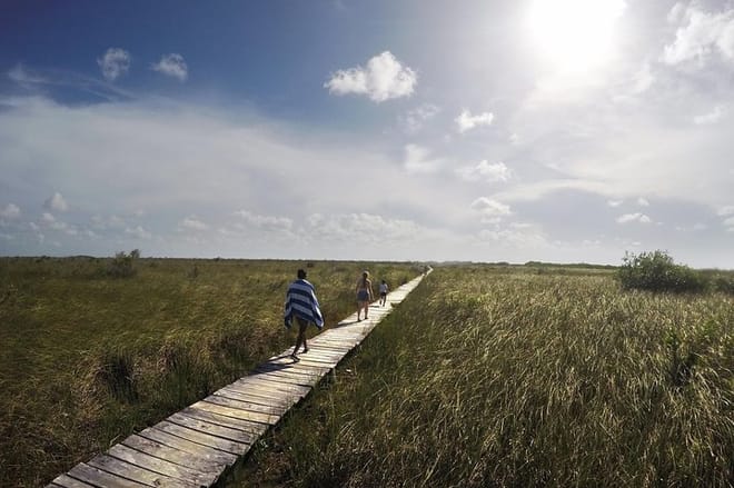Muyil Archaeological Site & Sian Ka'an Guided Tour from Tulum 6