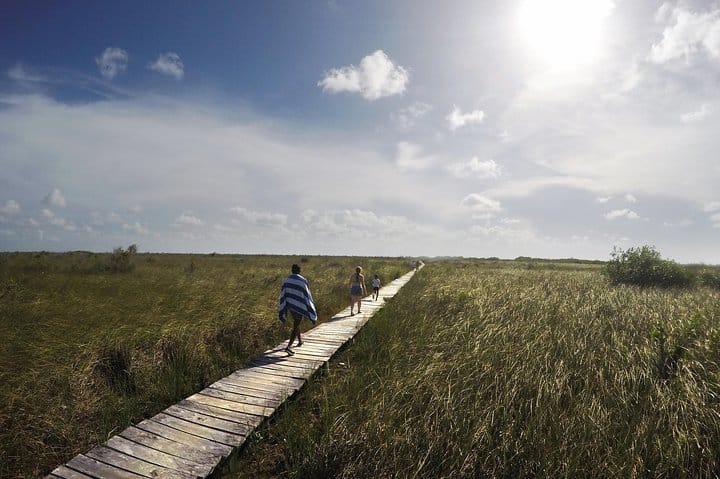 Muyil Archaeological Site & Sian Ka'an Guided Tour from Tulum 6