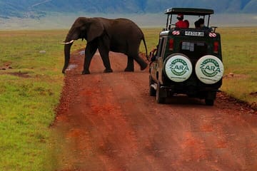 6 Days 5 Night Safari