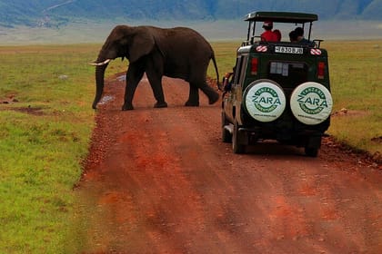 6 Days 5 Night Safari