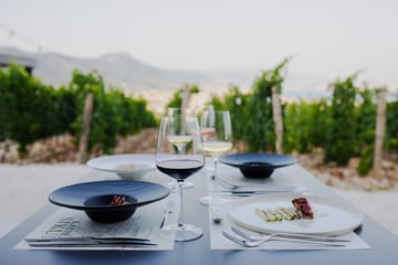Culinary Tour of Dalmatia with Wine Tasting in Kaštel Novi