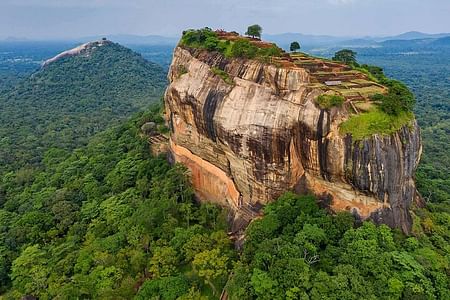 Explore Sigiriya, Dambulla Temple & Minneriya Safari – A Journey Through History and Wildlife