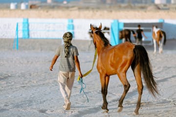 Horseback Riding Adventure with Meal in Hurghada