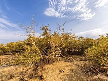 Ras Mohammed National Park Bus Tour in Sharm El Sheikh