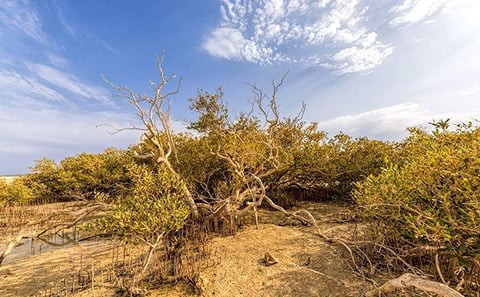 Ras Mohammed National Park Bus Tour in Sharm El Sheikh
