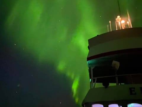 Reykjavík Northern Lights & City Cruise, photo 5