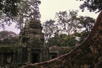 Taprohm