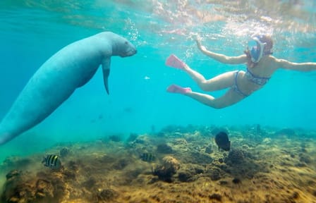 Private Snorkeling Tour to Swim with Turtles in Marsa Alam