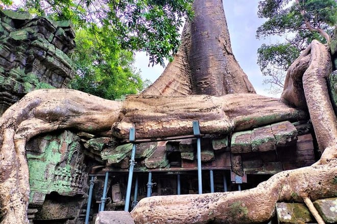 Angkor Wat Sunrise, Ta Promh, Banteay Srei, Bayon Private Tour photo 6