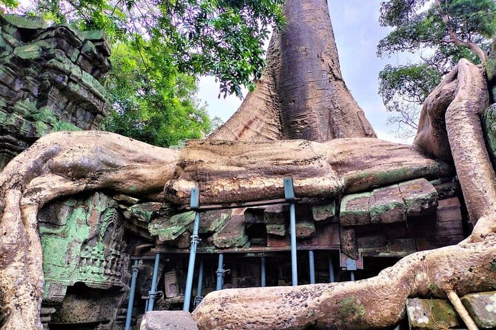 Angkor Wat Sunrise, Ta Promh, Banteay Srei, Bayon Private Tour 6