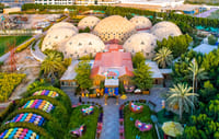 Tickets to Dubai Butterfly Garden 2