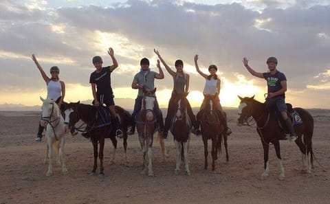Sunrise Horseback Riding Tour in Marsa Alam Beach and Desert