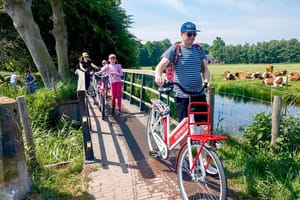 Highlight Bike Tours Haarlem
