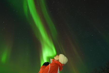 Northern Light minibus hunt to Abisko national park 7:30 pm