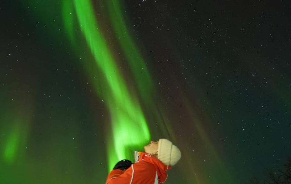 Northern Lights Minibus Tour to Abisko National Park, Kiruna