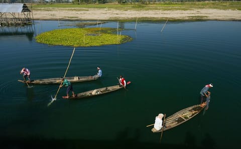 Guwahati and Kaziranga National Park 5-Day Tour