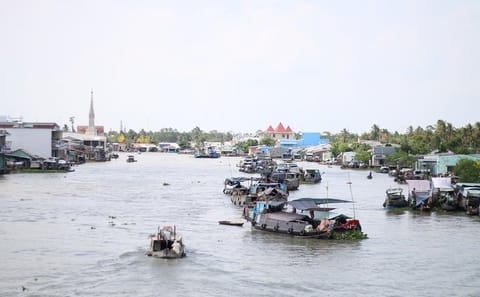 Mekong Delta Day Tour: Explore Cai Be and Vinh Long