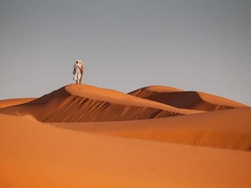 5D 4N Sahara trip