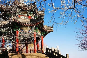 Private Cultural Tour of Temple of Heaven and Summer Palace in Beijing