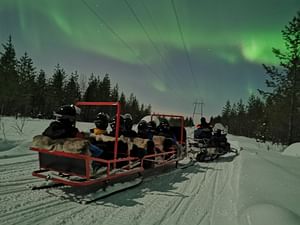 Northern Lights Sledge Ride in Levi