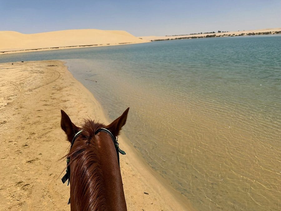 Cairo Multi Days Tour