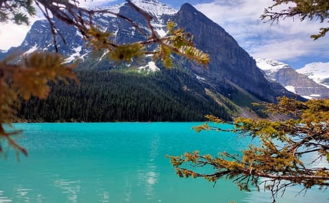 Lake Louise and Moraine Lake Tour from Canmore to Banff