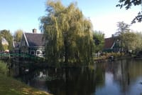 Zaanse Schans and Volendam Private Countryside tour from Amsterdam 4